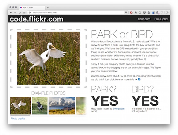 Flickr PARK or BIRD