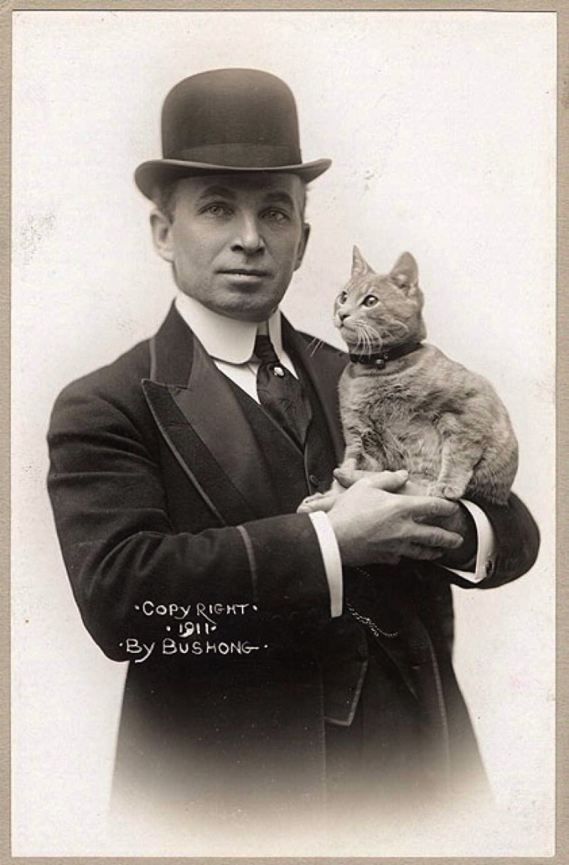 Foi em outubro de 1910 que Kiddo se tornou o primeiro gato a tentar atravessar o oceano Atlântico e ele nem sabia que esse era o programa para aquele dia. Foi uma surpresa para todos, aliás.